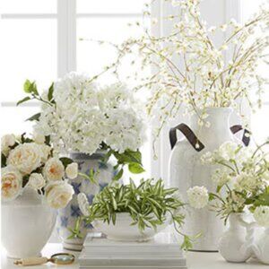 Meet your Posher, Celia